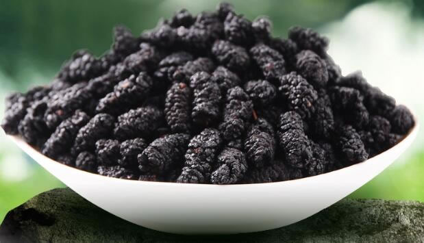 烘干后桑椹干 桑葚烘干機