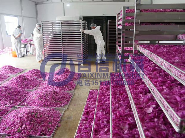 玫瑰花烘干現場